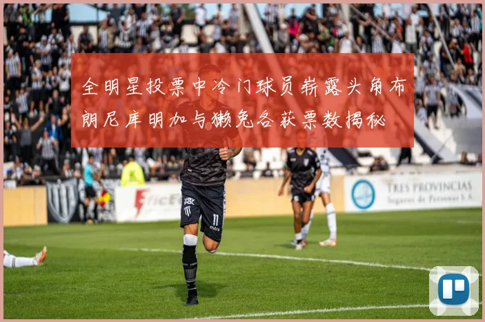 全明星投票中冷门球员崭露头角布朗尼库明加与獭兔各获票数揭秘