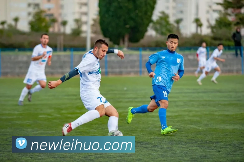 雷火电竞平台生态图